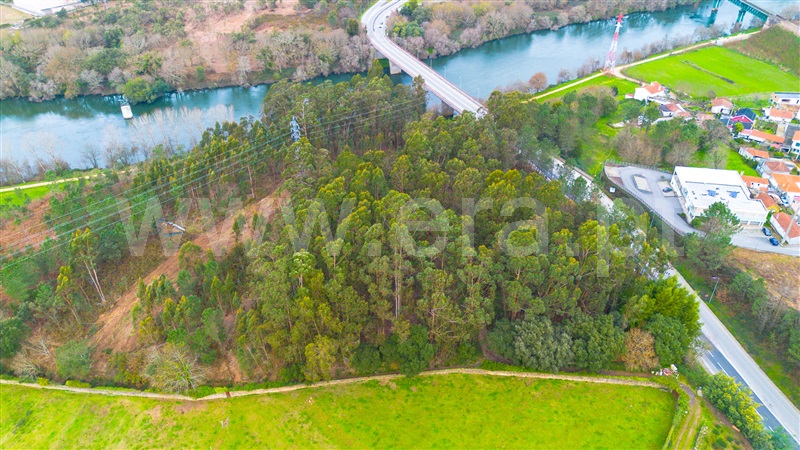 Terreno para Construção  Barcelos, Rio Covo (Santa Eugénia) - 1457118 - 1