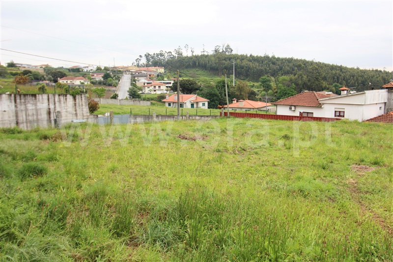 Terreno para Construção  Barcelos, Sequeade e Bastuço (São João e Santo Estevão) - 1164550 - 3