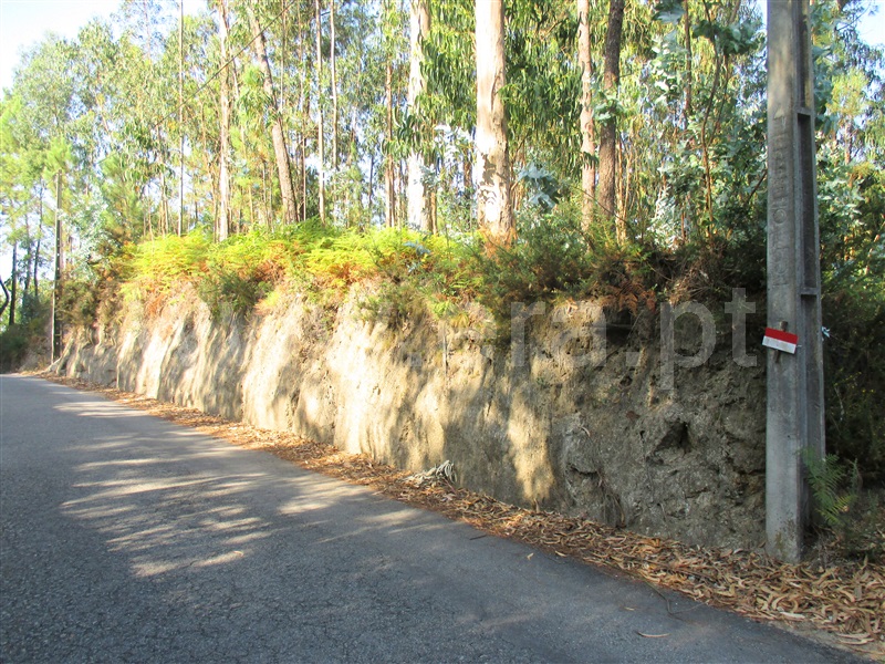 Terreno para Construção  Barcelos, Silveiros e Rio Covo (Santa Eulália) - 1106415 - 1