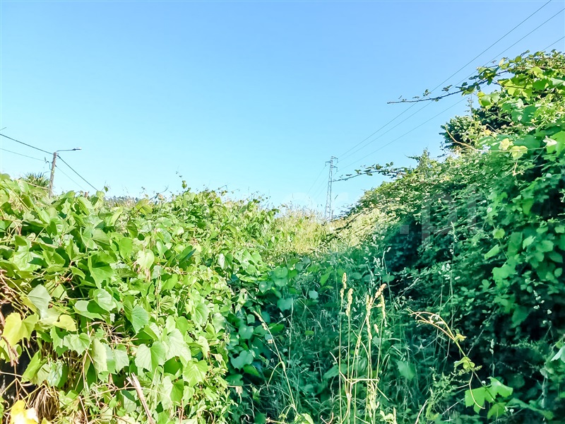 Terreno para Construção  Barcelos, Silveiros e Rio Covo (Santa Eulália) - 1410699 - 4