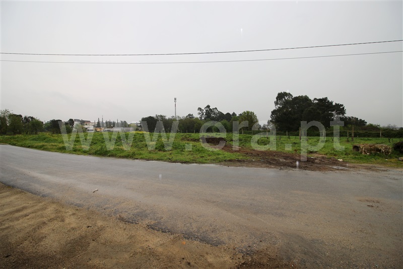 Terreno para Construção / Barcelos, Tamel (São Veríssimo)