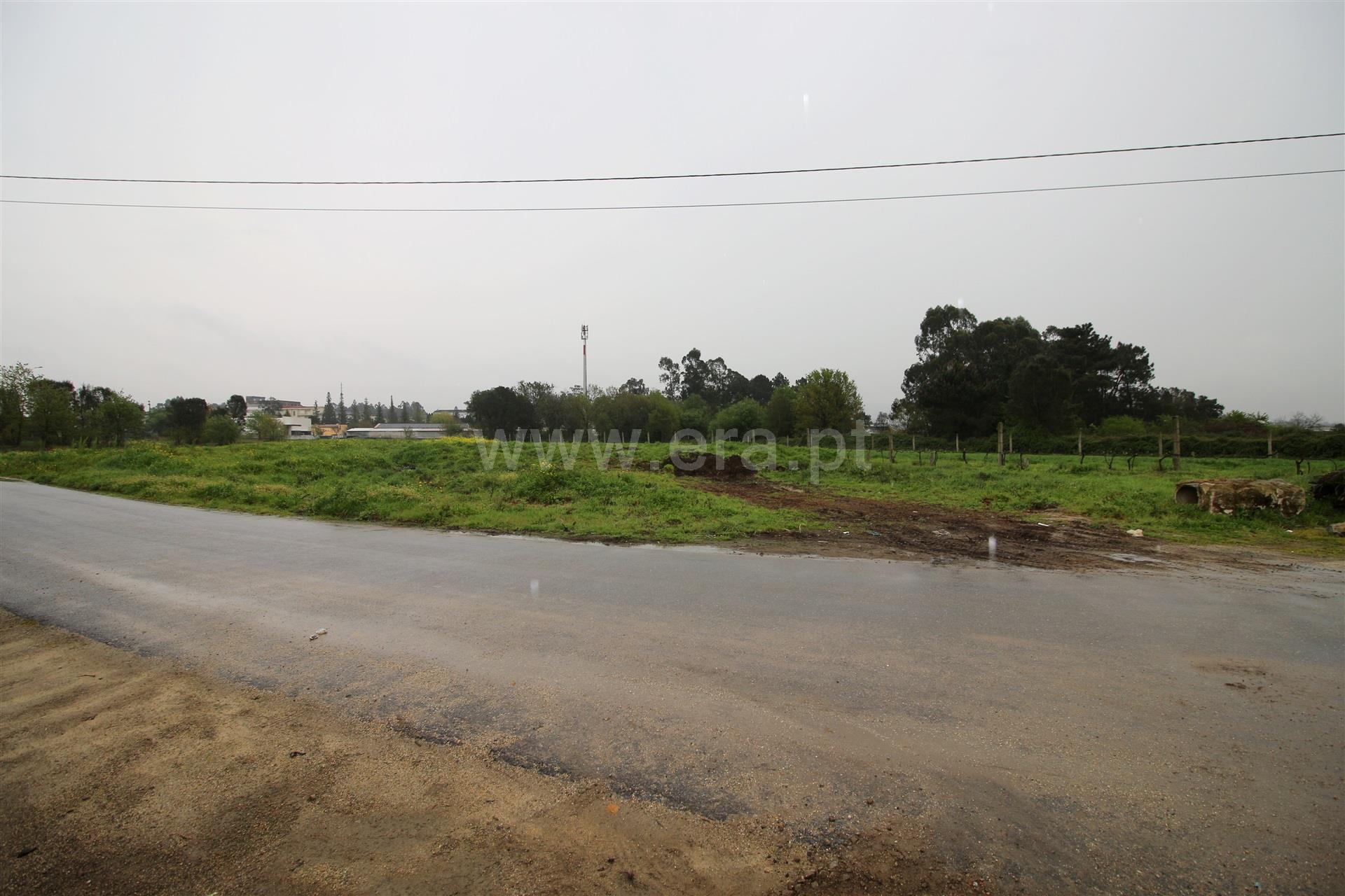 Land for sale in Barcelos, Portugal — €350,000