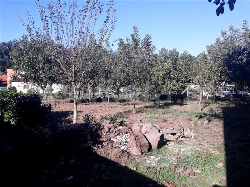 Terreno para Construção  Barcelos, Ucha - 1043416 - 2