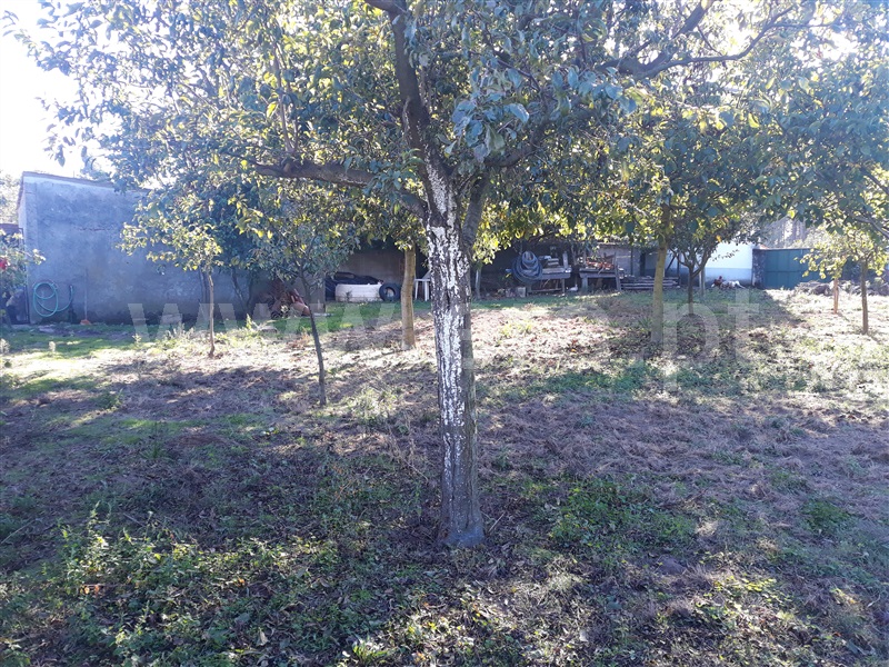 Terreno para Construção  Barcelos, Ucha - 1043416 - 4