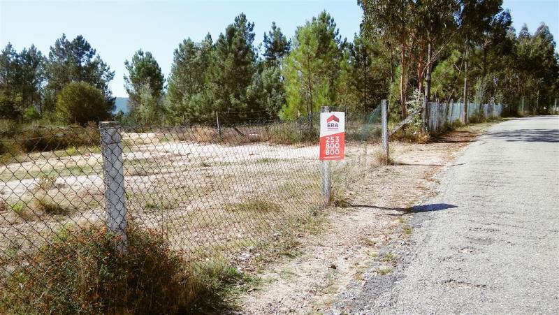Terreno para Construção / Barcelos, Ucha
