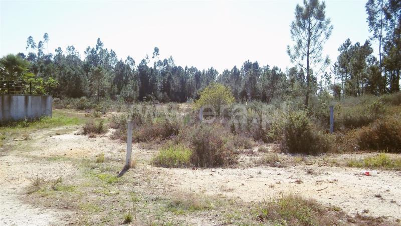 Terreno para Construção  Barcelos, Ucha - 762481 - 2