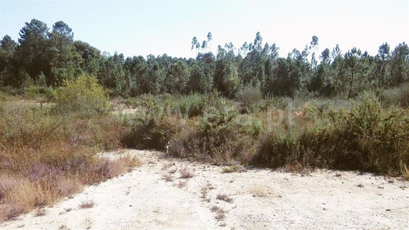 Terreno para Construção  Barcelos, Ucha - 762481 - 3