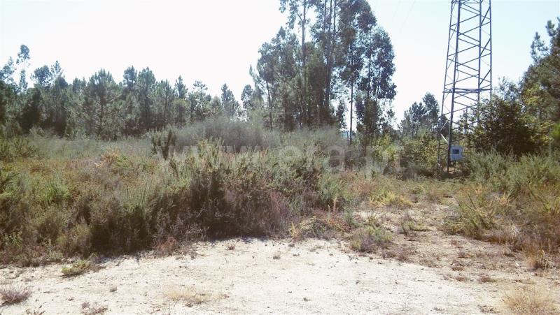 Terreno para Construção  Barcelos, Ucha - 762481 - 6