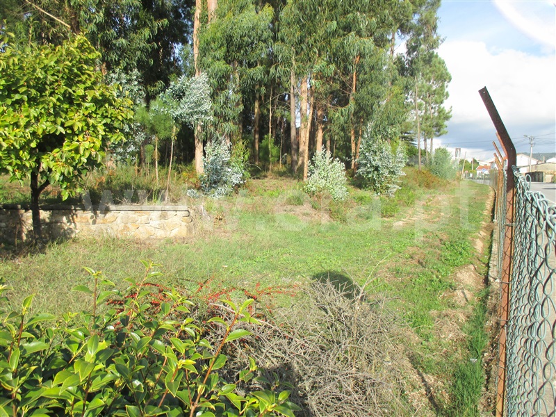 Terreno para Construção / Barcelos, Várzea