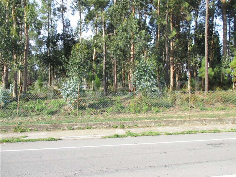Terreno para Construção  Barcelos, Várzea - 1123379 - 5