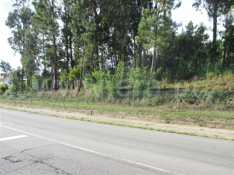 Terreno para Construção  Barcelos, Várzea - 1123379 - 6