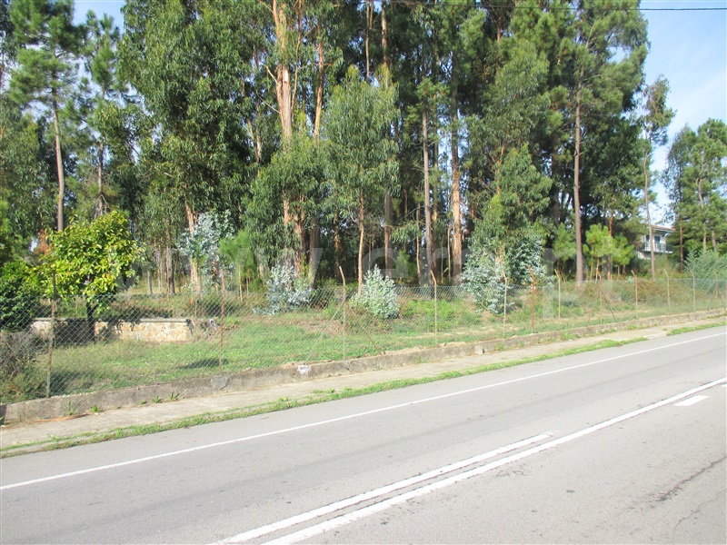 Terreno para Construção  Barcelos, Várzea - 1123379 - 7