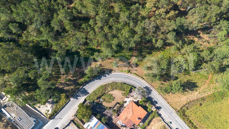 Terreno para Construção  Barcelos, Várzea - 1502729 - 3
