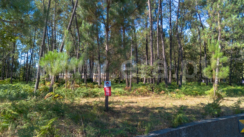 Terreno para Construção  Barcelos, Várzea - 1502729 - 6