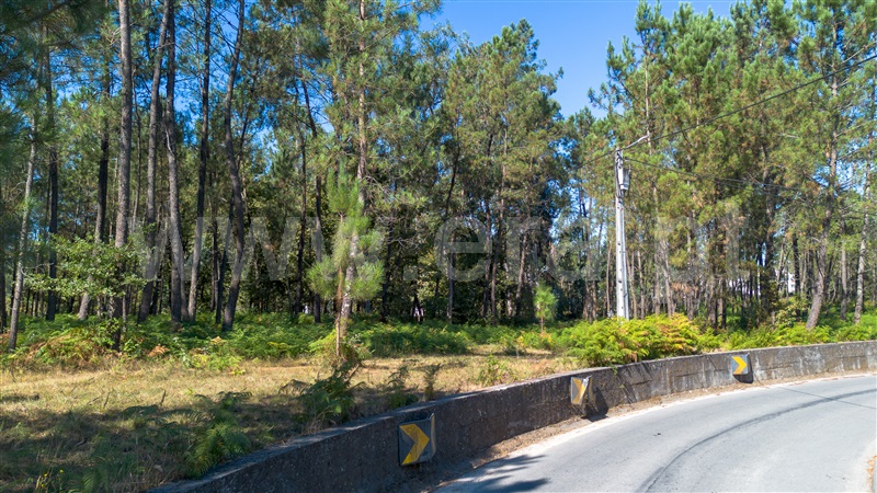 Terreno para Construção  Barcelos, Várzea - 1502729 - 7