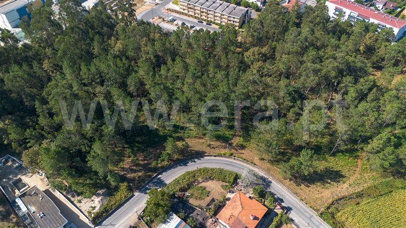 Terreno para Construção  Barcelos, Várzea - 1502729 - 9