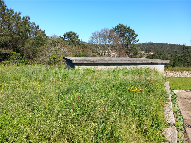 Terreno para Construção  Barcelos, Vila Cova e Feitos - 1481575 - 1