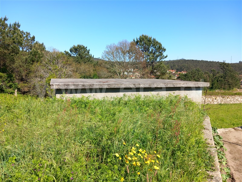 Terreno para Construção  Barcelos, Vila Cova e Feitos - 1481575 - 2