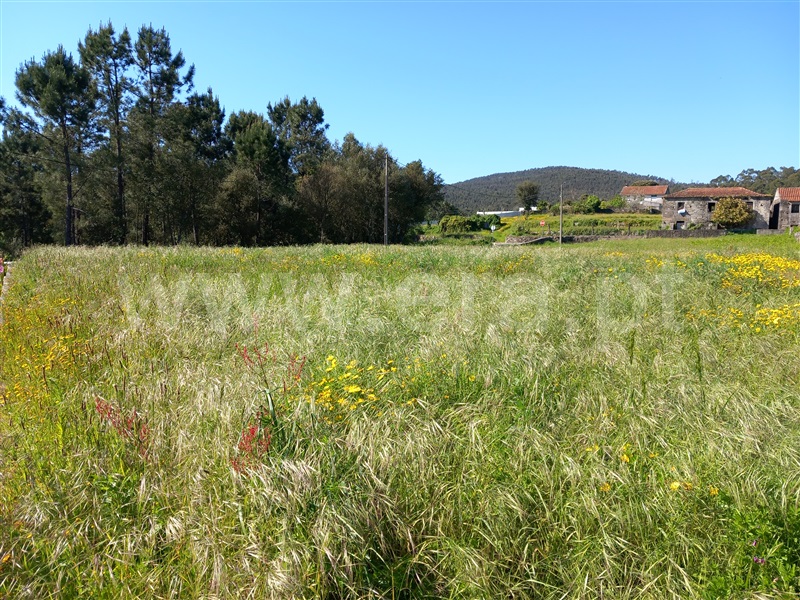 Terreno para Construção  Barcelos, Vila Cova e Feitos - 1481575 - 3