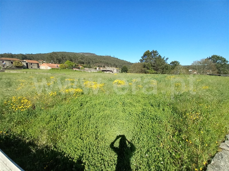 Terreno para Construção  Barcelos, Vila Cova e Feitos - 1481575 - 5