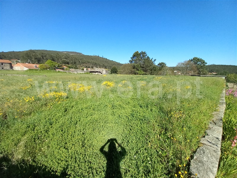 Terreno para Construção / Barcelos, Vila Cova e Feitos