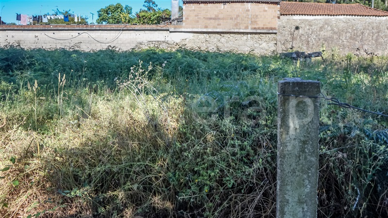 Terreno para Construção / Barcelos, Vila Cova e Feitos