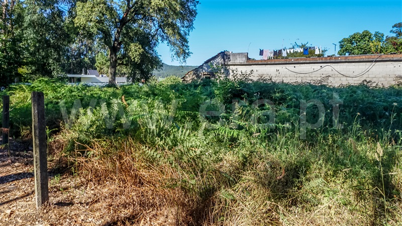 Terreno para Construção  Barcelos, Vila Cova e Feitos - 1491311 - 5