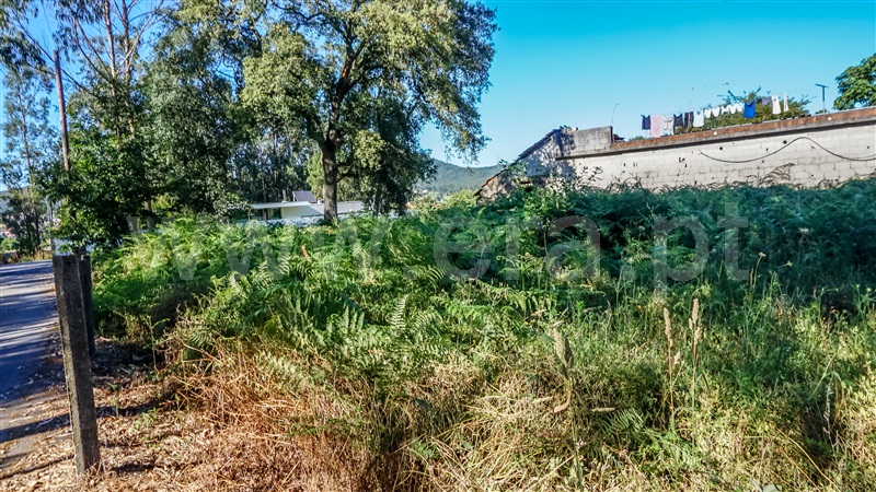 Terreno para Construção  Barcelos, Vila Cova e Feitos - 1491311 - 7