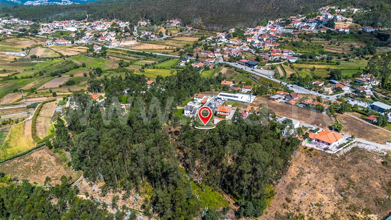 Terreno para Construção / Barcelos, Vila Cova e Feitos