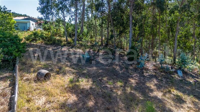 Terreno para Construção  Barcelos, Vila Cova e Feitos - 1497726 - 5