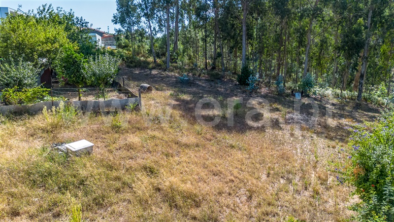 Terreno para Construção  Barcelos, Vila Cova e Feitos - 1497726 - 6