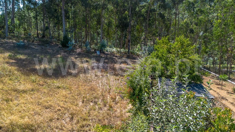 Terreno para Construção  Barcelos, Vila Cova e Feitos - 1497726 - 7