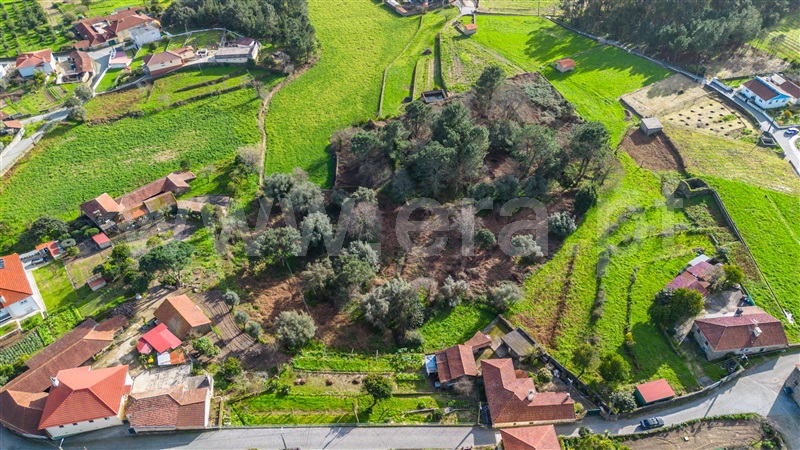 Terreno para Construção / Barcelos, Vila Cova e Feitos