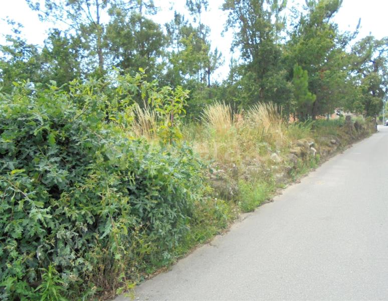 Terreno para Construção  Barcelos, Vila Cova e Feitos - 832432 - 6