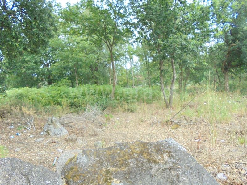 Terreno para Construção  Barcelos, Vila Cova e Feitos - 832432 - 8