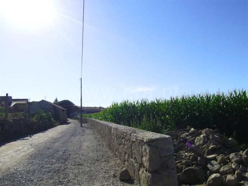 Terreno para Construção  Barcelos, Vila Cova e Feitos - 841950 - 3