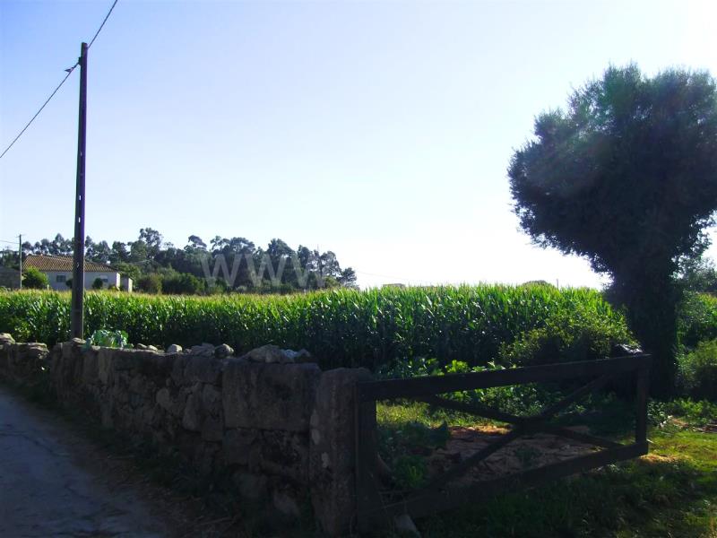 Terreno para Construção  Barcelos, Vila Cova e Feitos - 841950 - 4