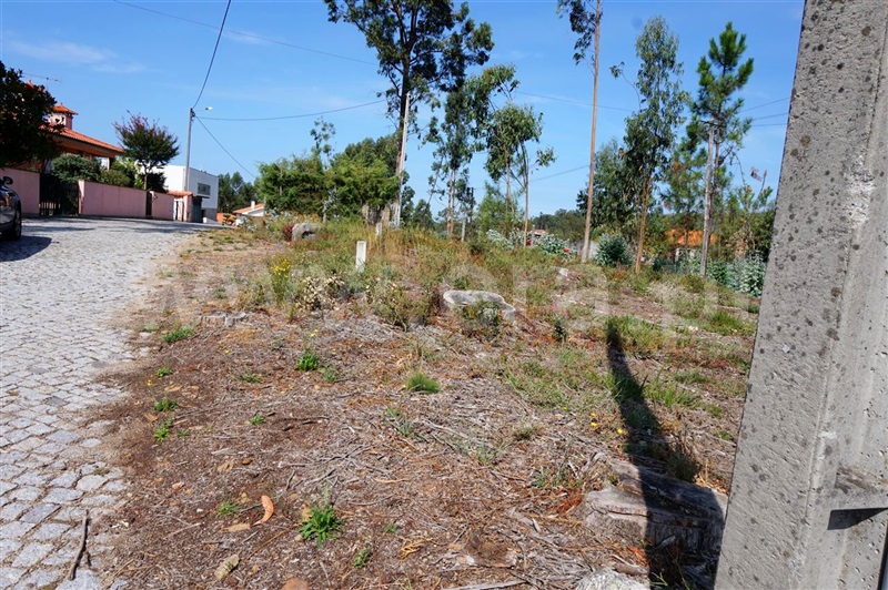 Terreno para Construção  Barcelos, Vila Cova e Feitos - 938999 - 5