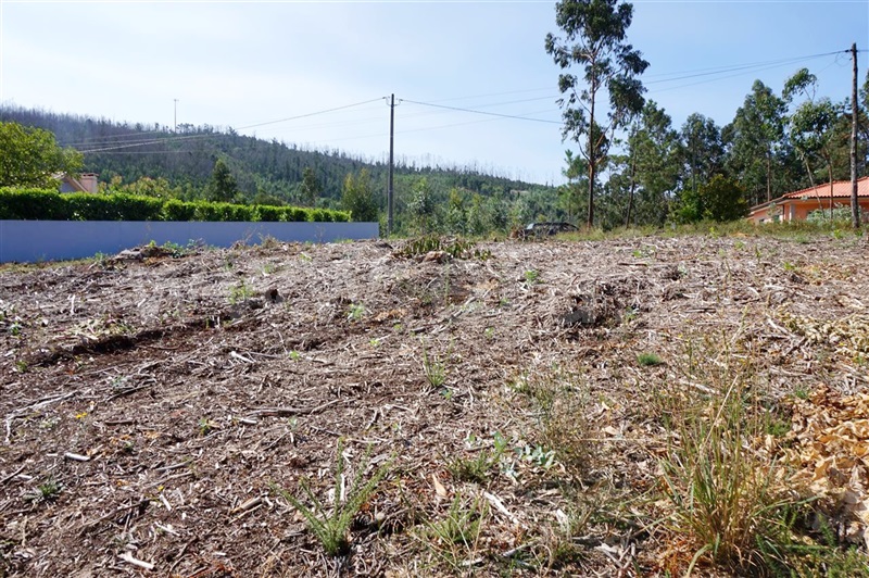 Terreno para Construção  Barcelos, Vila Cova e Feitos - 938999 - 6