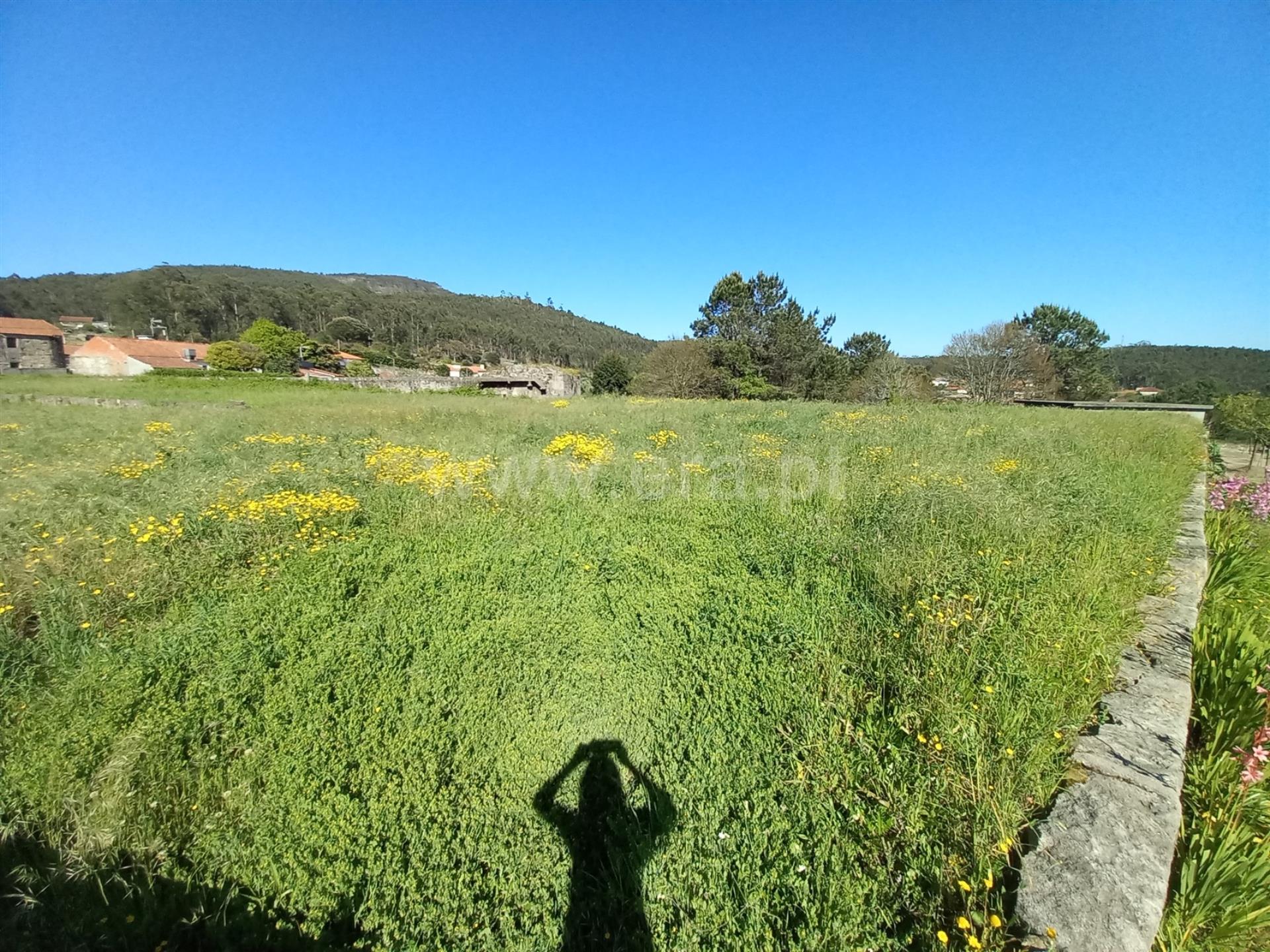 Land for sale in Barcelos, Portugal — €57,500