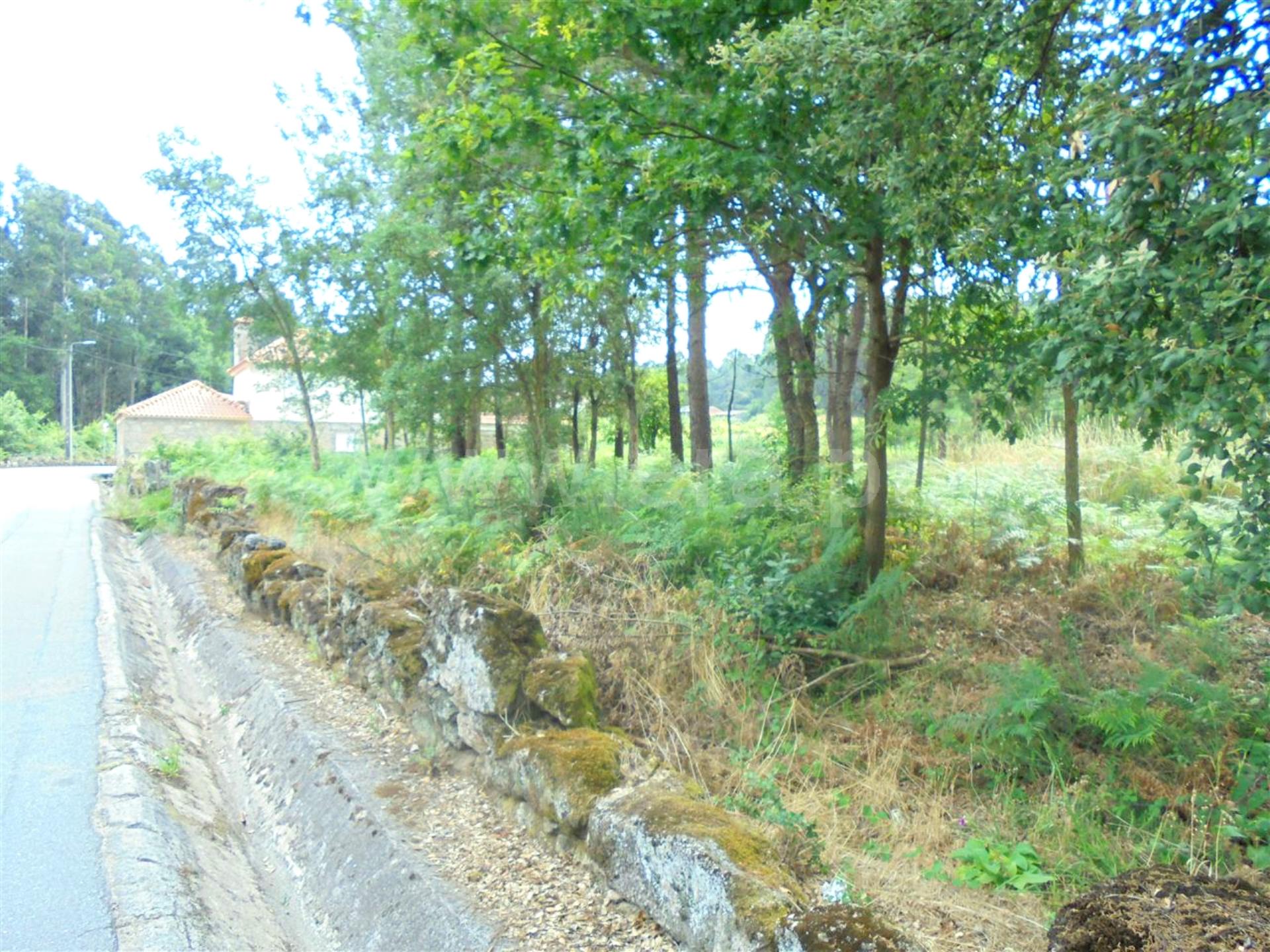 Land for sale in Barcelos, Portugal — €330,000