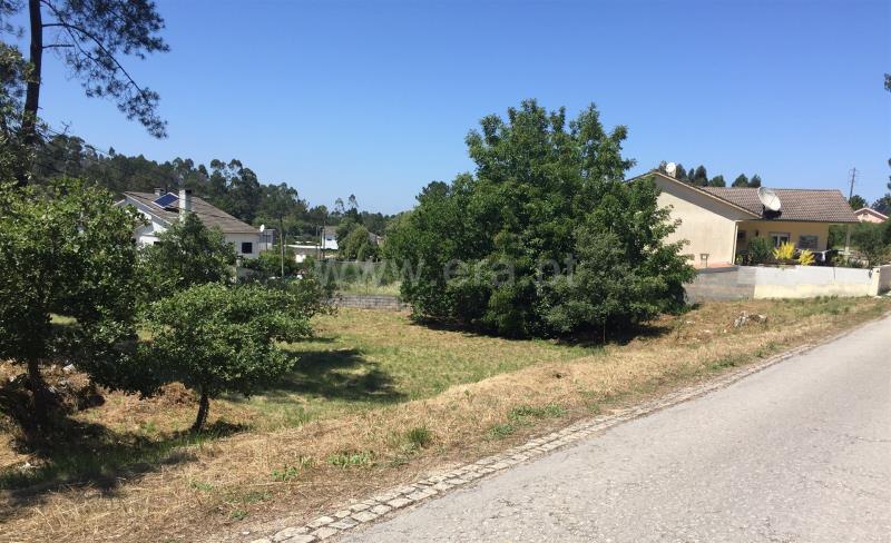 Terreno para Construção  Batalha, São Mamede - 1182650 - 3
