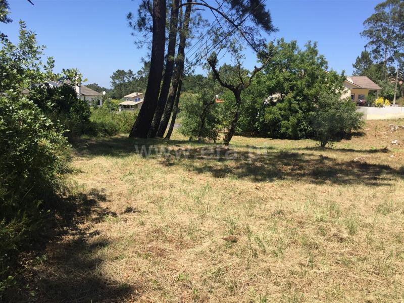 Terreno para Construção  Batalha, São Mamede - 1182650 - 5
