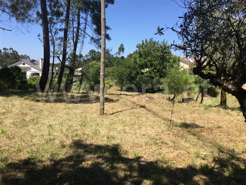 Terreno para Construção  Batalha, São Mamede - 1182650 - 6