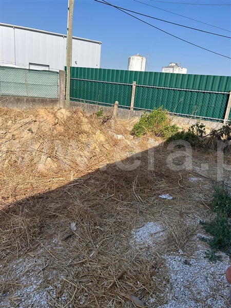 Moradia Isolada T1 Benavente - 1502380 - 5