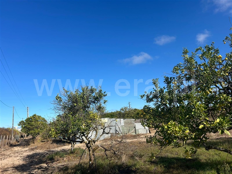 Terreno para Construção / Benavente, Benavente