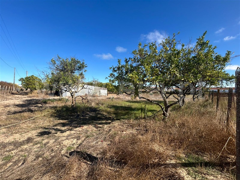 Terreno para Construção  Benavente - 1511399 - 6