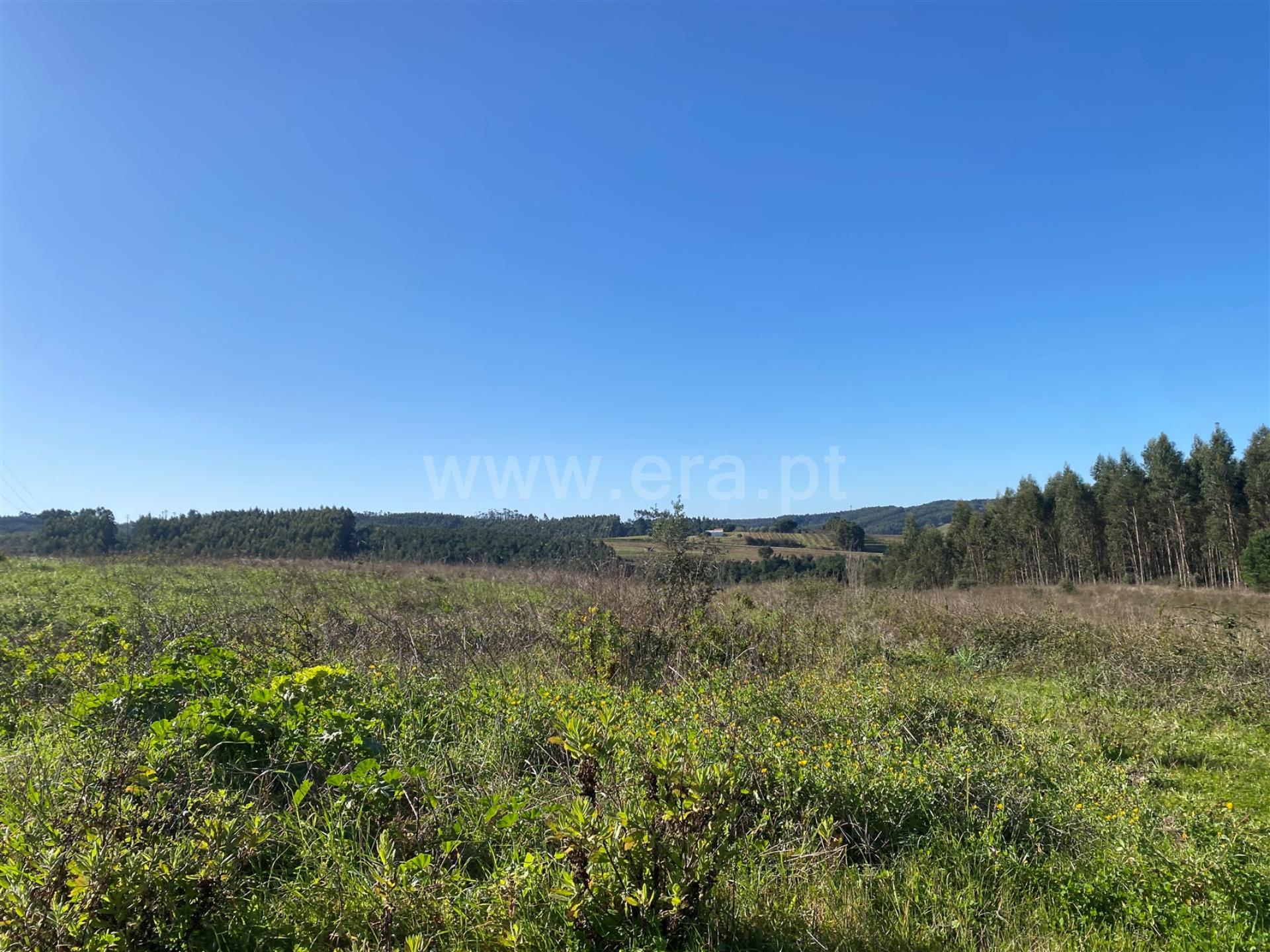 Land for sale in Bombarral, Portugal — €75,000