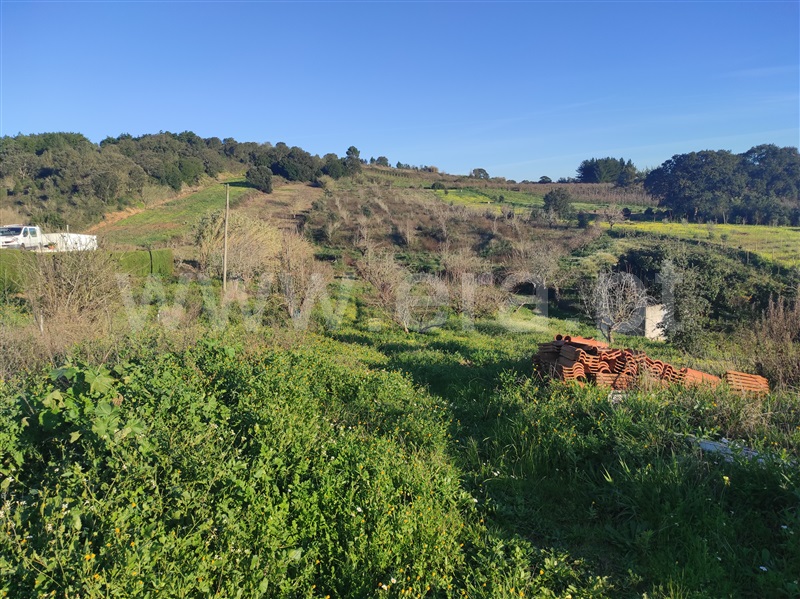 Terreno para Construção  Bombarral, Delgada - 1295941 - 3