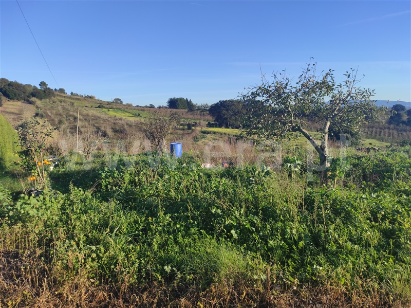 Terreno para Construção  Bombarral, Delgada - 1295941 - 4